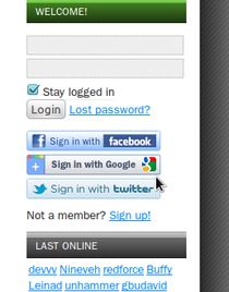 2. From then – if you're once logged out – use the third party sign-in providers